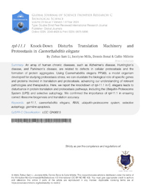 rpl-11.1 Knockdown Disturbs Translation Machinery and Proteostasis in Caenorhabditis Elegans